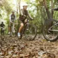 group friends ride mountain bike forest together 85x85