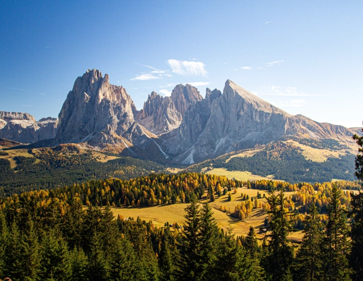 beautiful shot grassy hills covered trees near mountains dolomites italy
